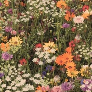 Meet your Posher, Sophie